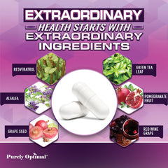 Japanese knotweed plant (Polygonum cuspidatum) source for resveratrol