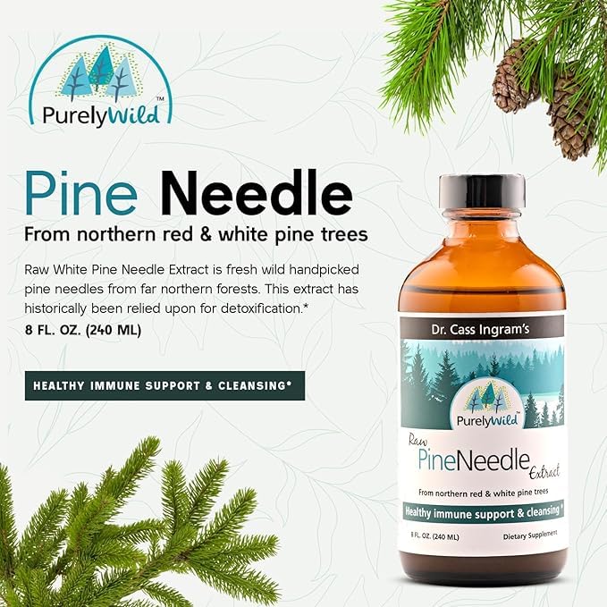 Close-up of red and white pine needles used in the extract