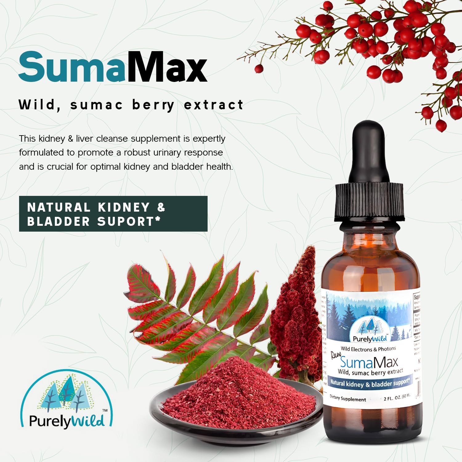 Close-up of SumaMax ingredients: raw sumac berries & cranberry extract