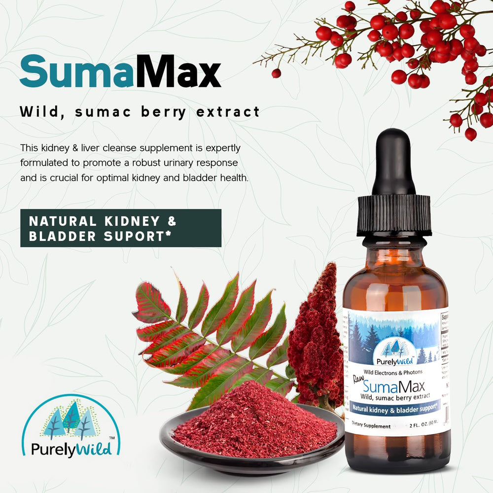 Close-up of SumaMax ingredients: raw sumac berries & cranberry extract
