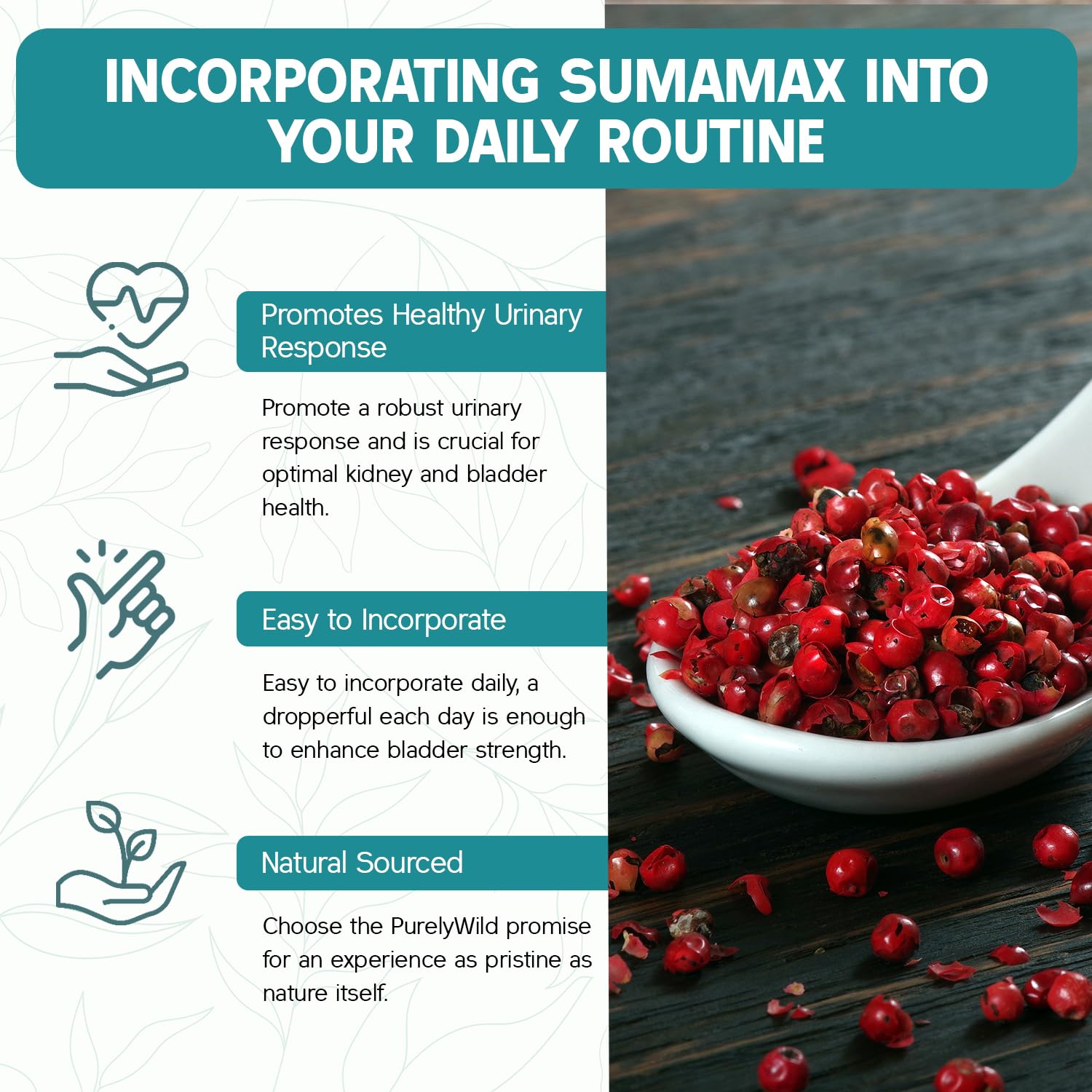 Dr Cass Ingram — Osteopathic Physician associated with SumaMax