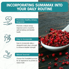 Dr Cass Ingram — Osteopathic Physician associated with SumaMax