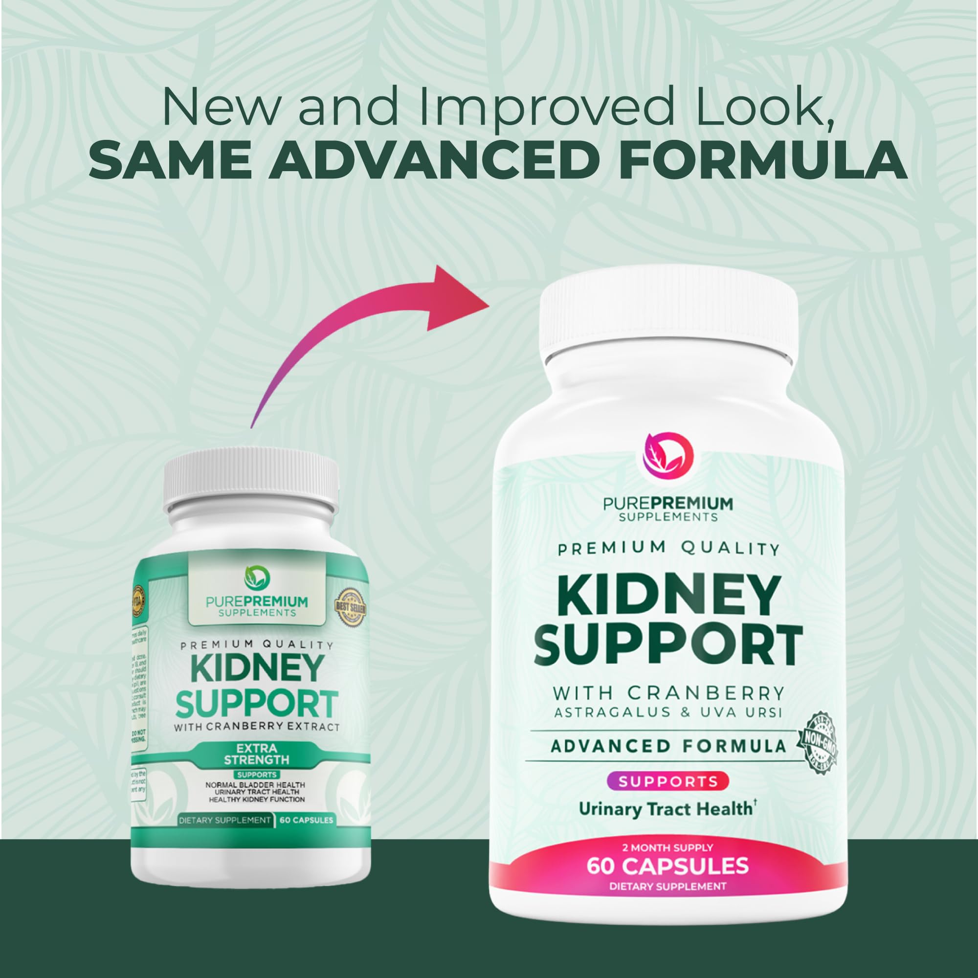 Illustration of urinary tract and bladder health