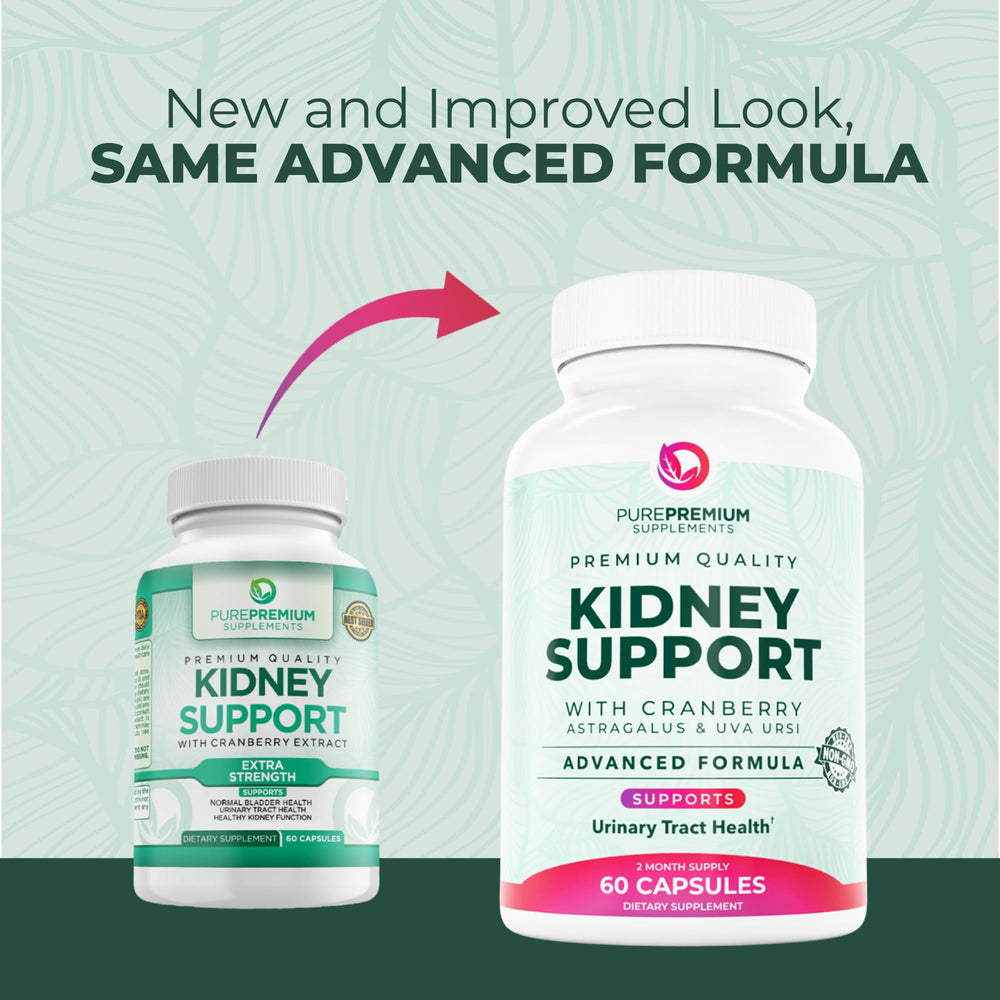 Illustration of urinary tract and bladder health