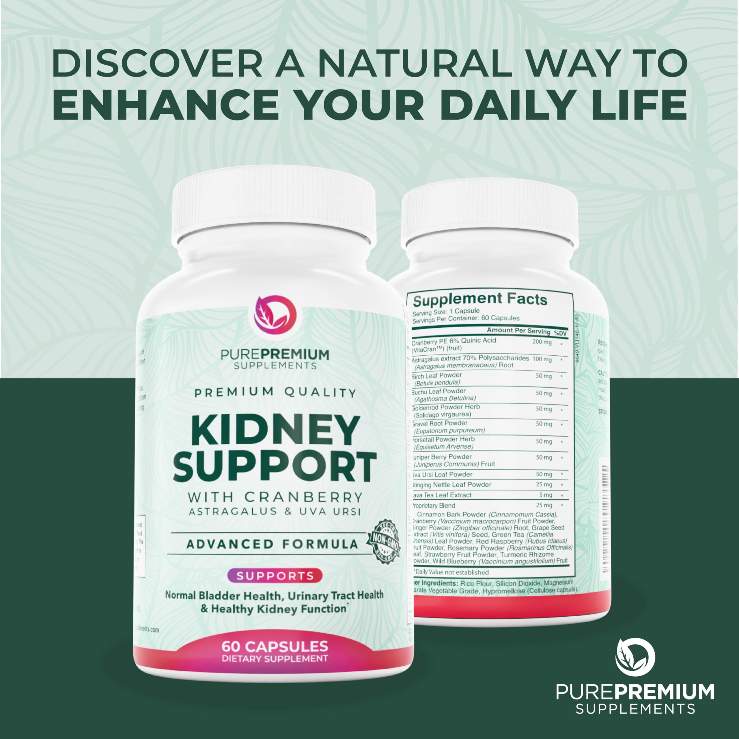 60-day supply packaging of PurePremium Kidney Support