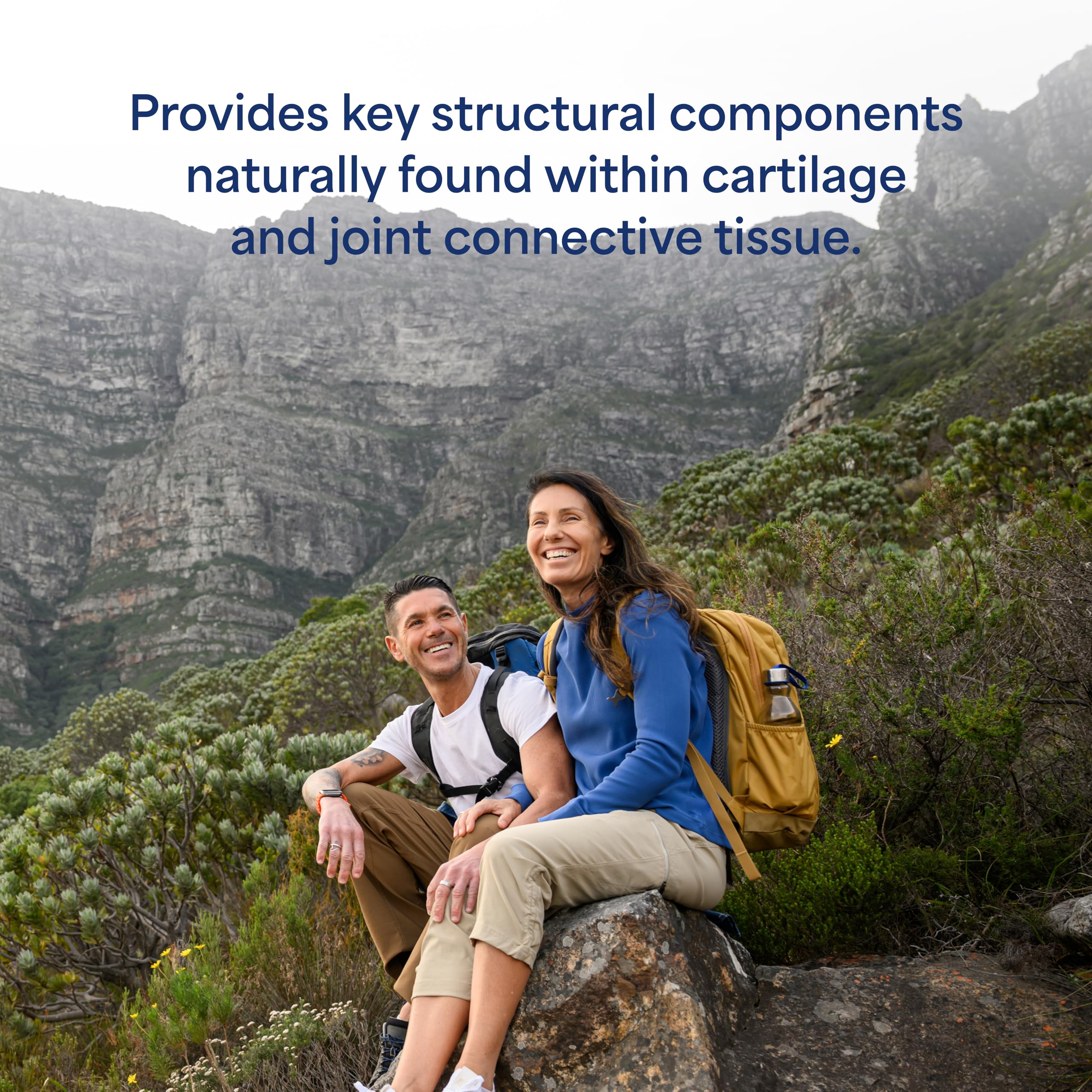 Ingredients graphic for Puritan's Pride glucosamine chondroitin MSM