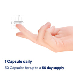 Bottle of 50 rapid-release Yohimbe capsules