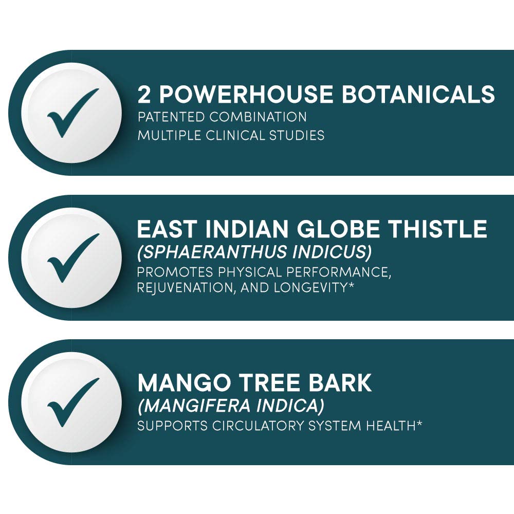 Illustration of East Indian Globe Thistle and Mango Tree Bark ingredients