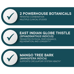 Illustration of East Indian Globe Thistle and Mango Tree Bark ingredients