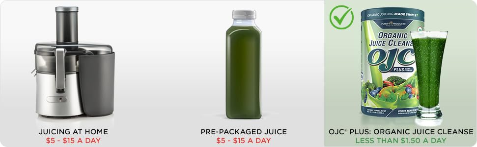 Purity Products OJC Plus Berry Surprise fiber matrix image conveys digestive support and fullness.