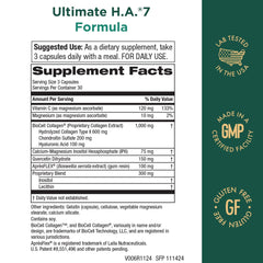 Graphic showing BioCell Hyaluronic Acid matrix