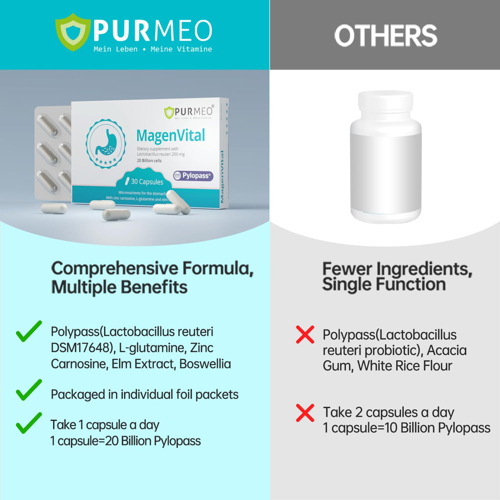 Lactobacillus reuteri DSM17648 illustration