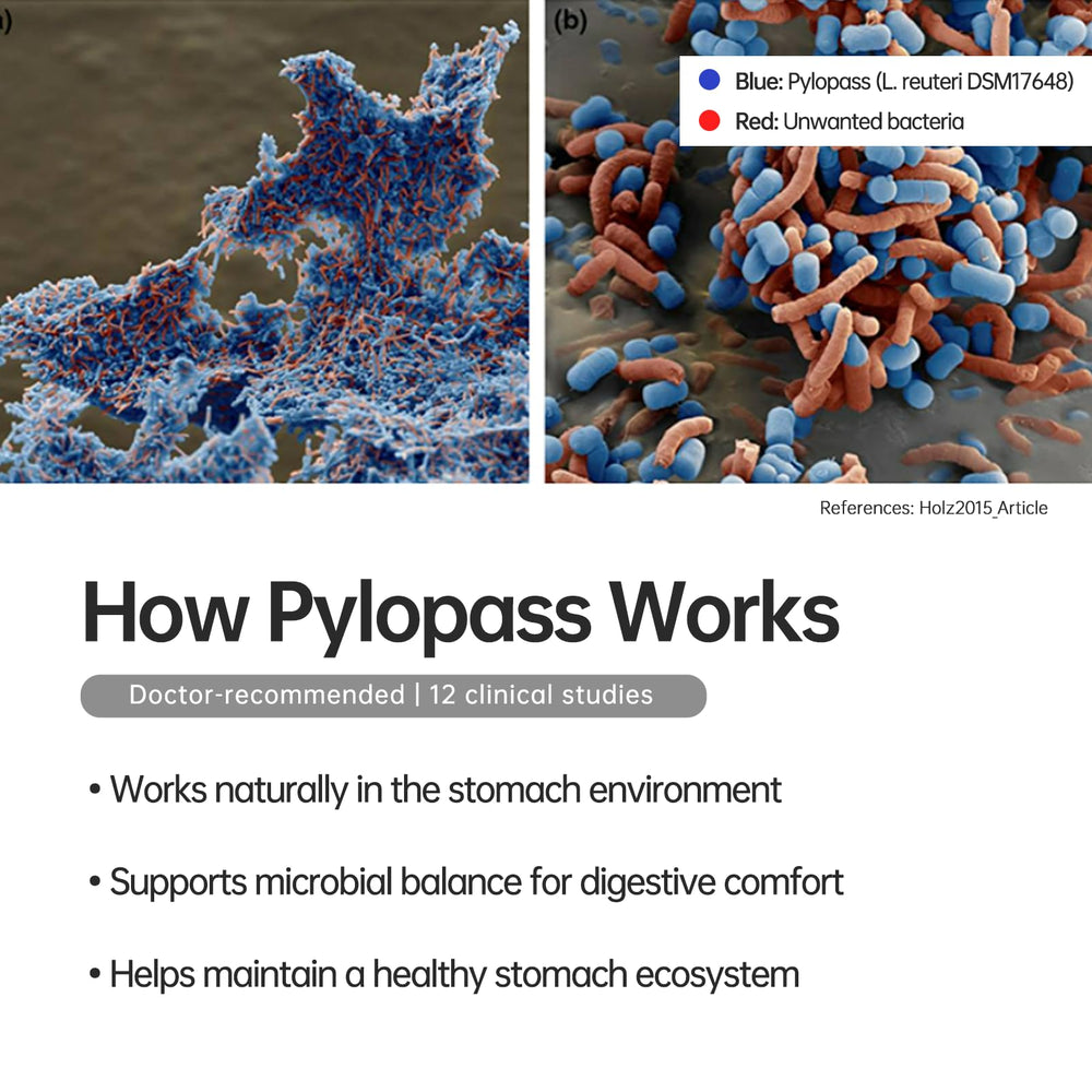 Pylopass DSM17648 strain reference image
