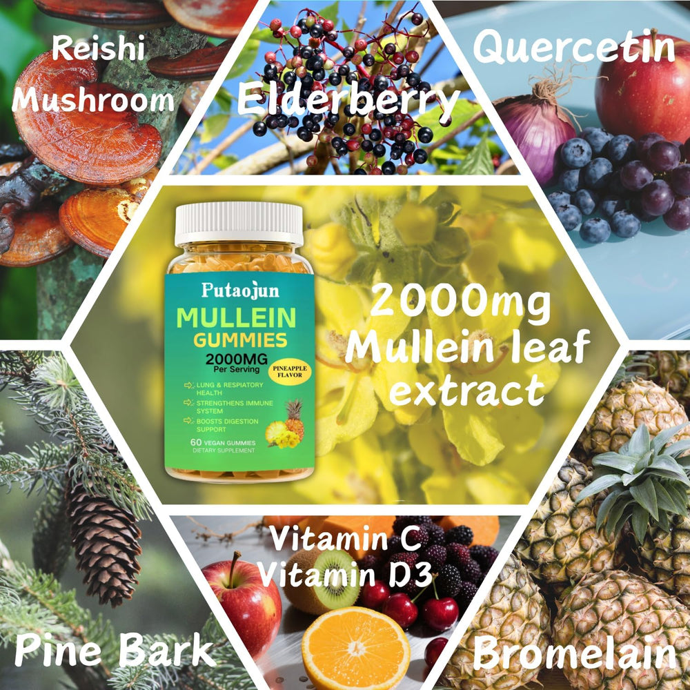 Lung support provided by Mullein Gummies with mullein extract