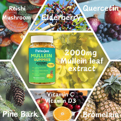 Lung support provided by Mullein Gummies with mullein extract