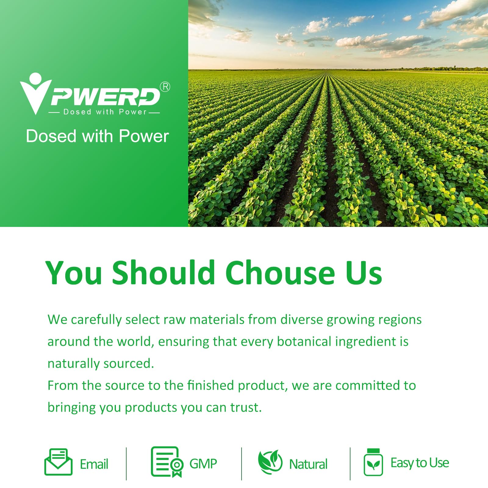 GMO free gluten free dairy free and soy free certification visuals