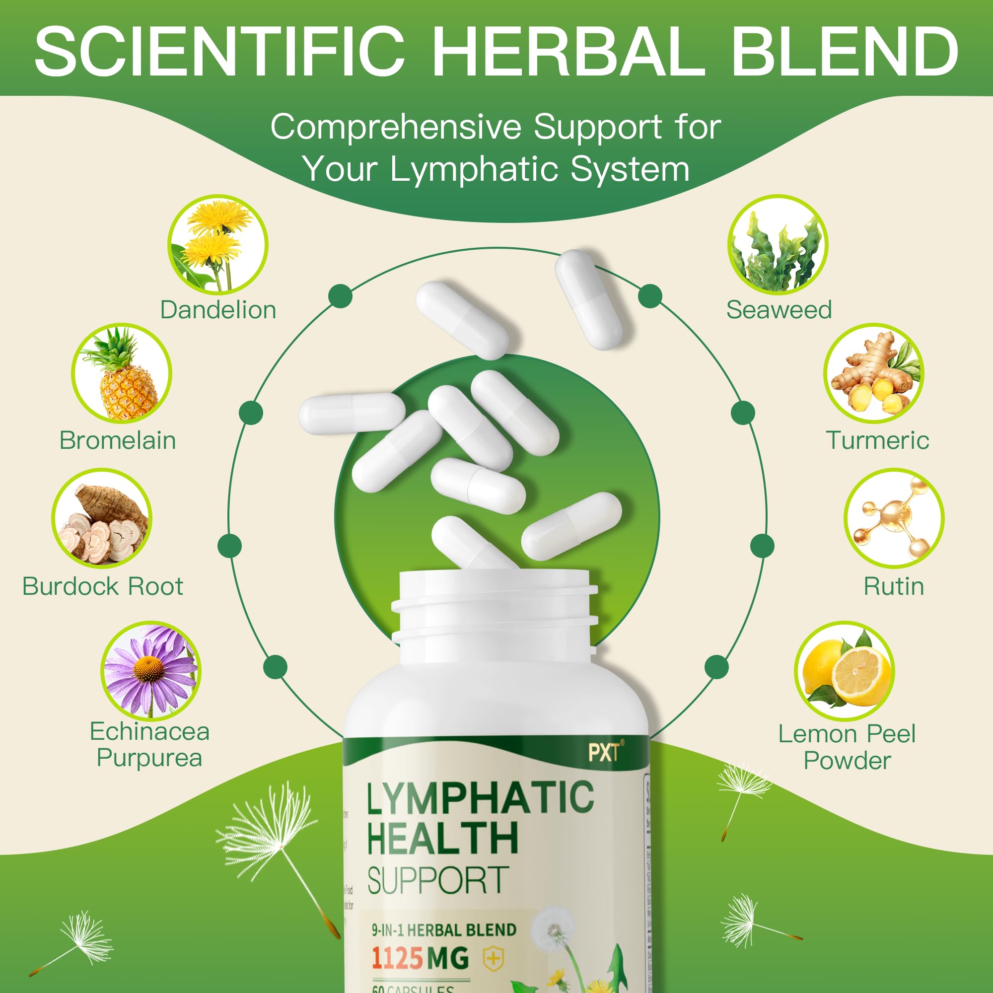 Herbal ingredients: dandelion, echinacea, burdock