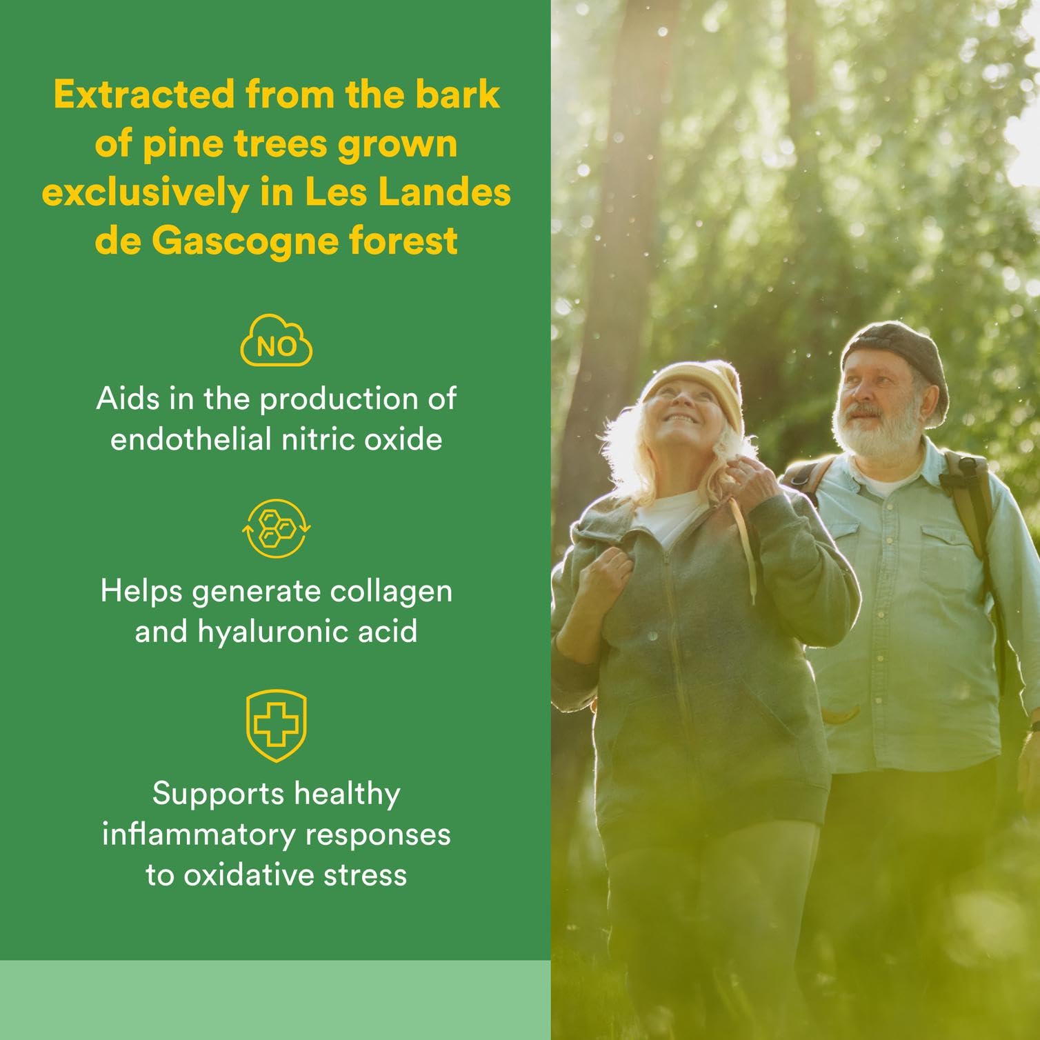 Pycnogenol 25 mg capsules bottle