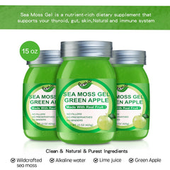 QANLOI sea moss blended into a smoothie demonstrating simple recipe integration benefit