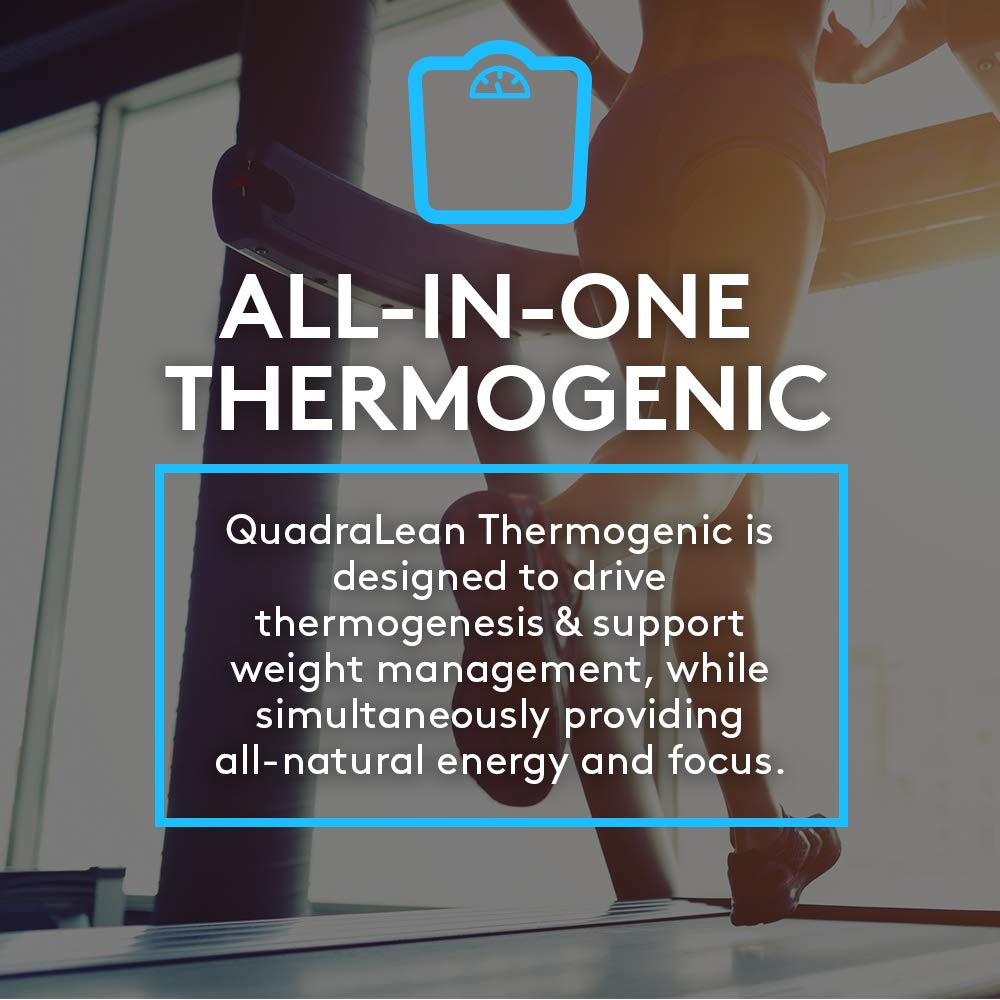 CLA and Acetyl L-Carnitine ingredients illustration