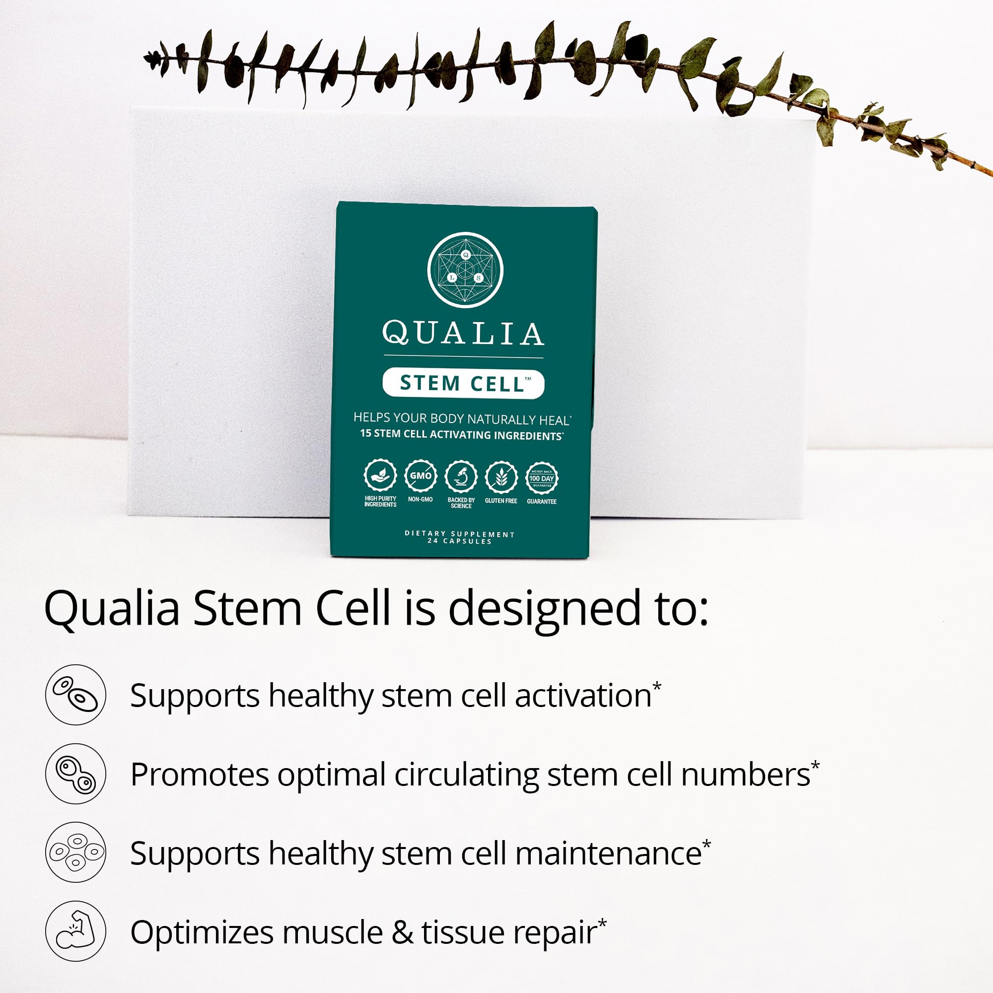 Stem cell health concept iconography