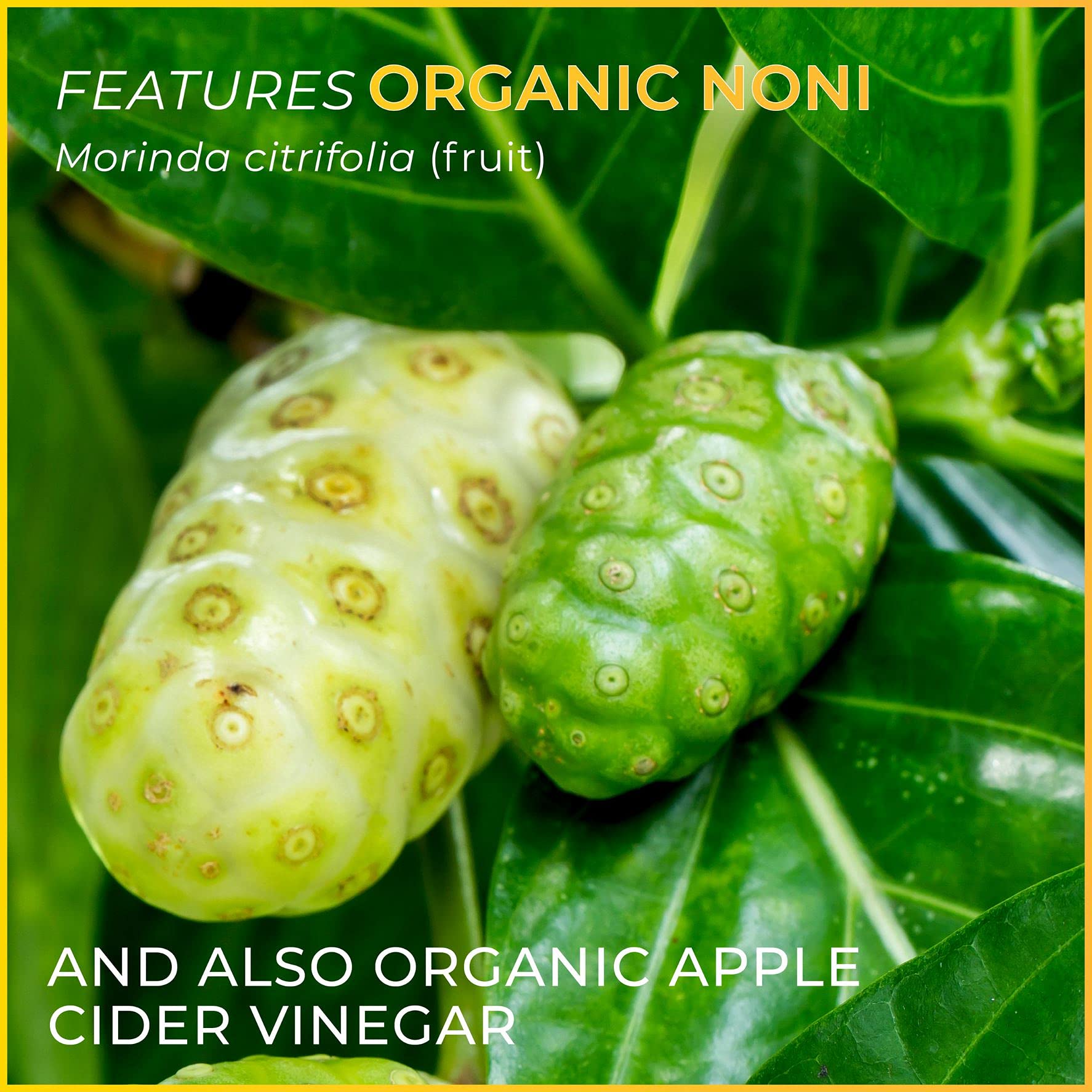 Quantum Digest Pack of 2 Y bottle close-up of label