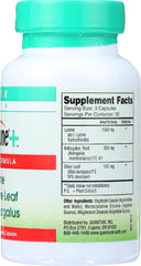 Close-up of vegetarian capsules in a bottle