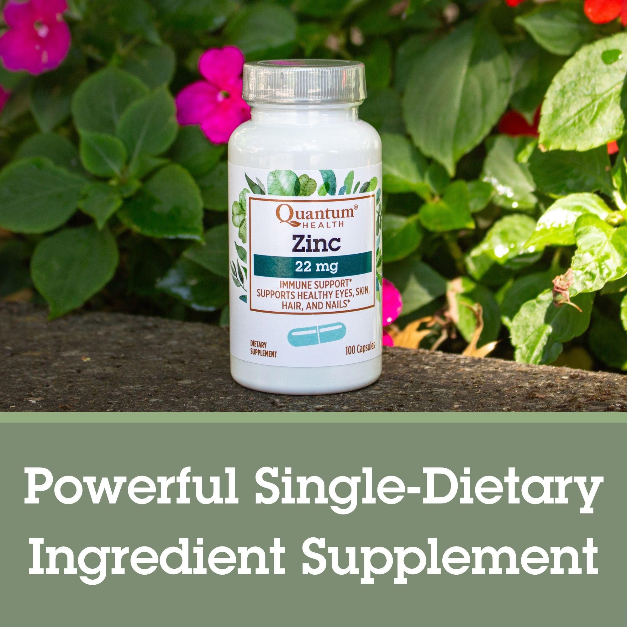 Health metabolism and eye health concept related to zinc