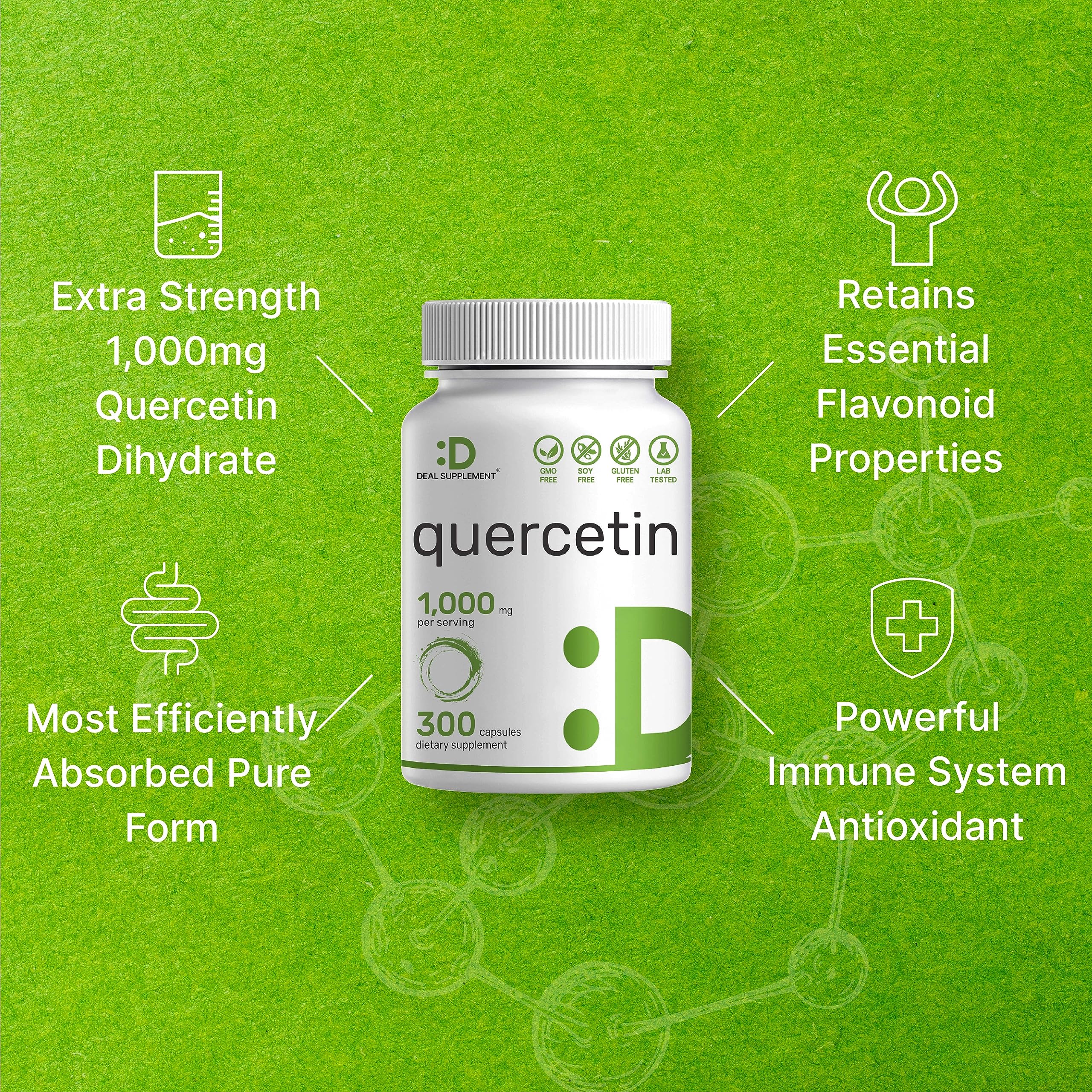 Graphic illustrating dihydrate quercetin absorption