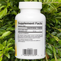 Close-up of Quercetin LipoMicel Matrix softgels