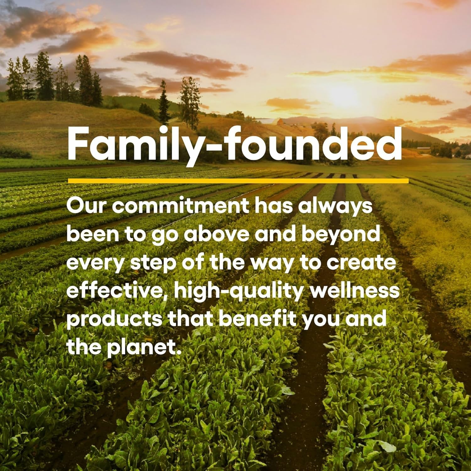 No dairy, gluten, or GMOs icons