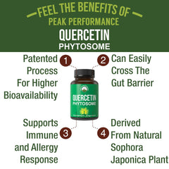 Diagram illustrating quercetin phytosome bioavailability technology