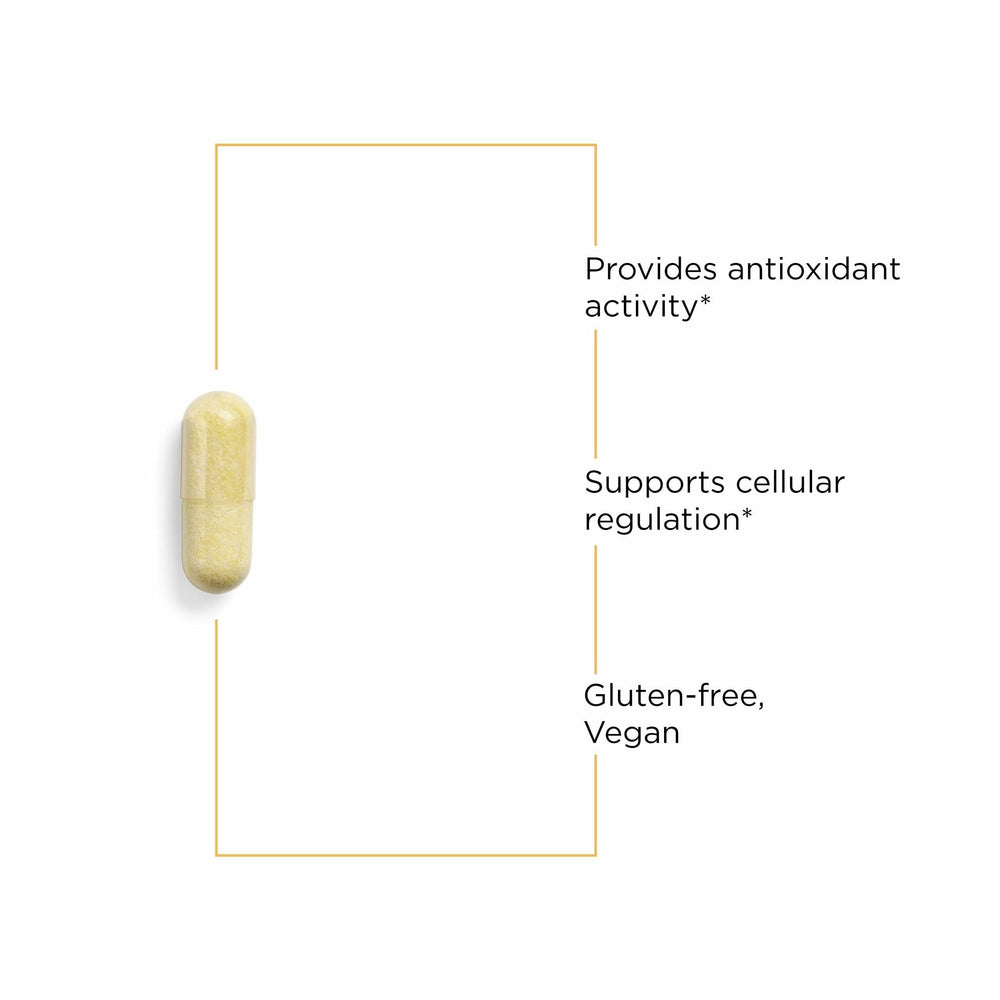 Molecular illustration of quercetin
