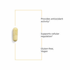 Molecular illustration of quercetin