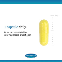 Diagram of improved quercetin absorption with vitamin C