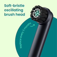 Replaceable dual-length soft bristles detail on Quip 360 brush head