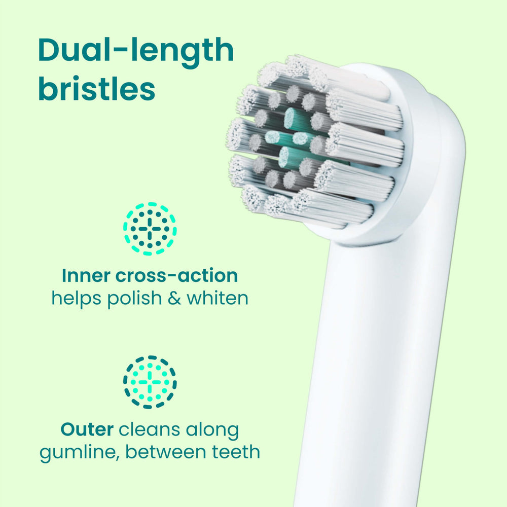 Close-up of bristles polishing and whitening on a quip 360 brush head