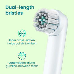 Close-up of bristles polishing and whitening on a quip 360 brush head