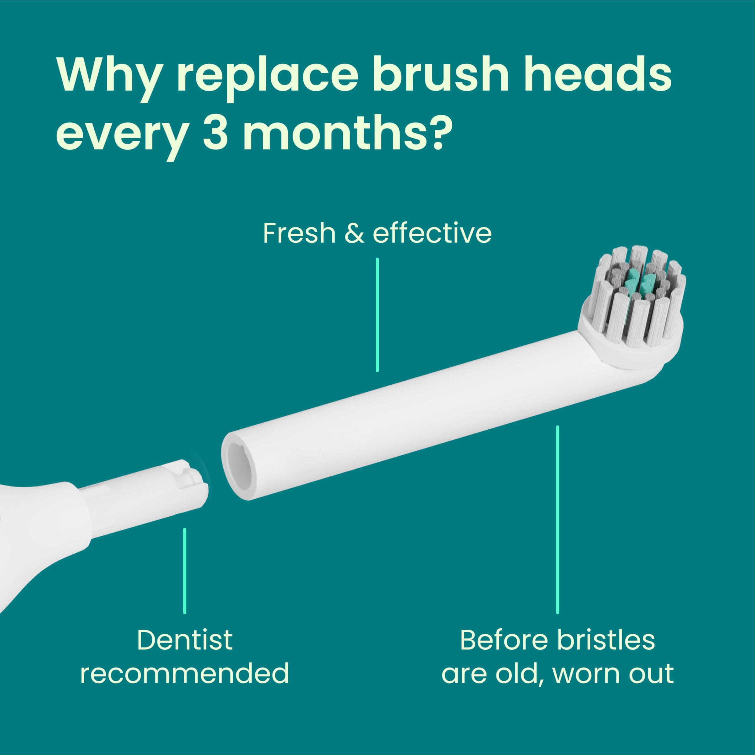 Icon representing a 3-month replacement schedule for quip brush heads