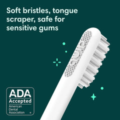 Close-up of soft bristles on Quip sonic toothbrush