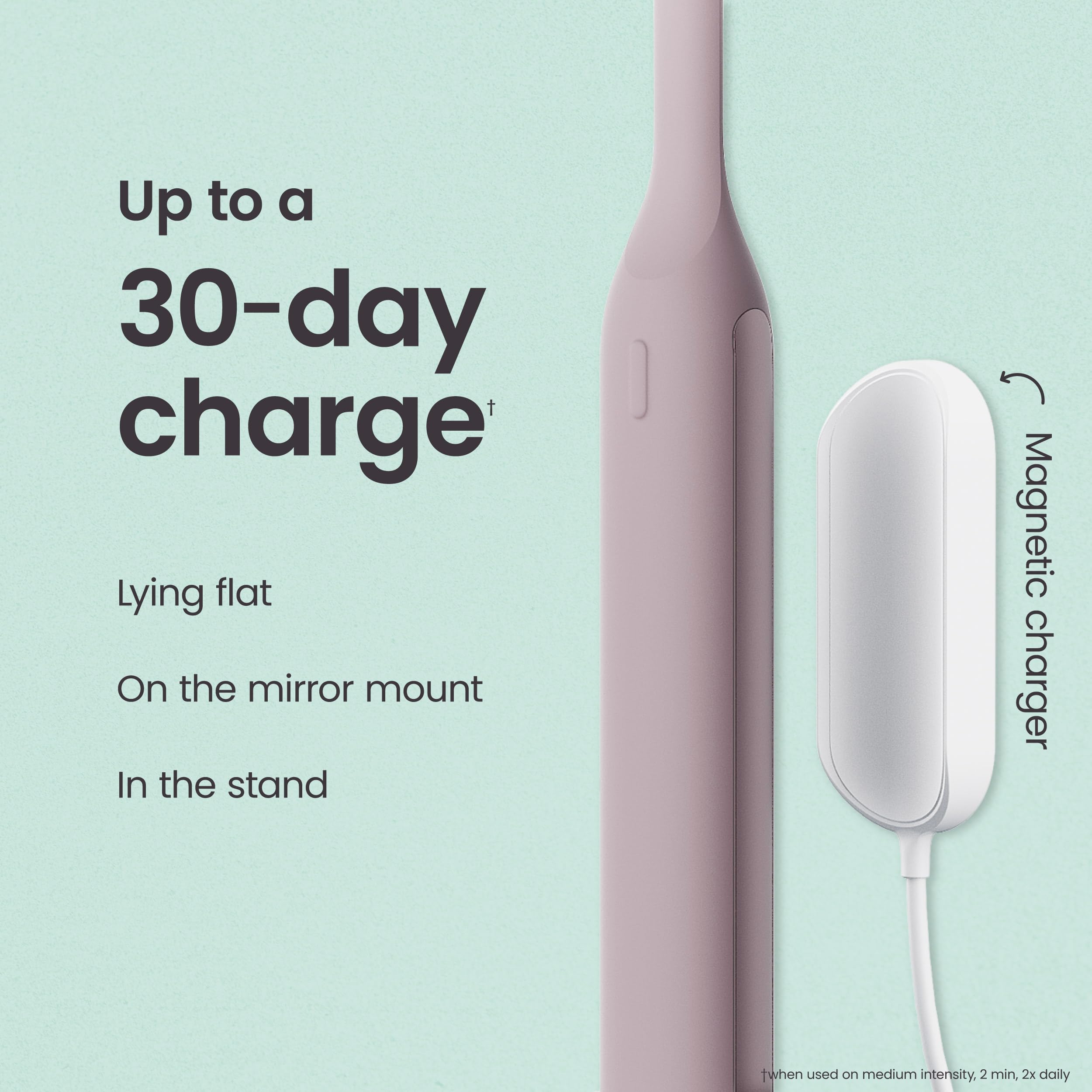 Quip Ultra travel case with toothbrush