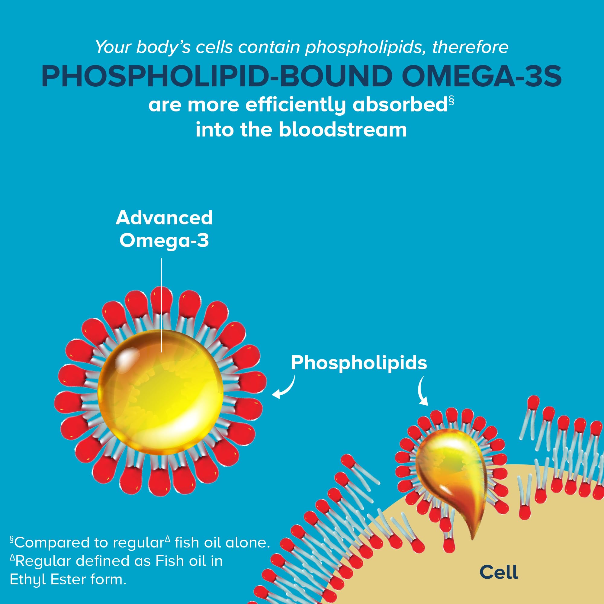 Phospholipid-bound omega-3 illustration