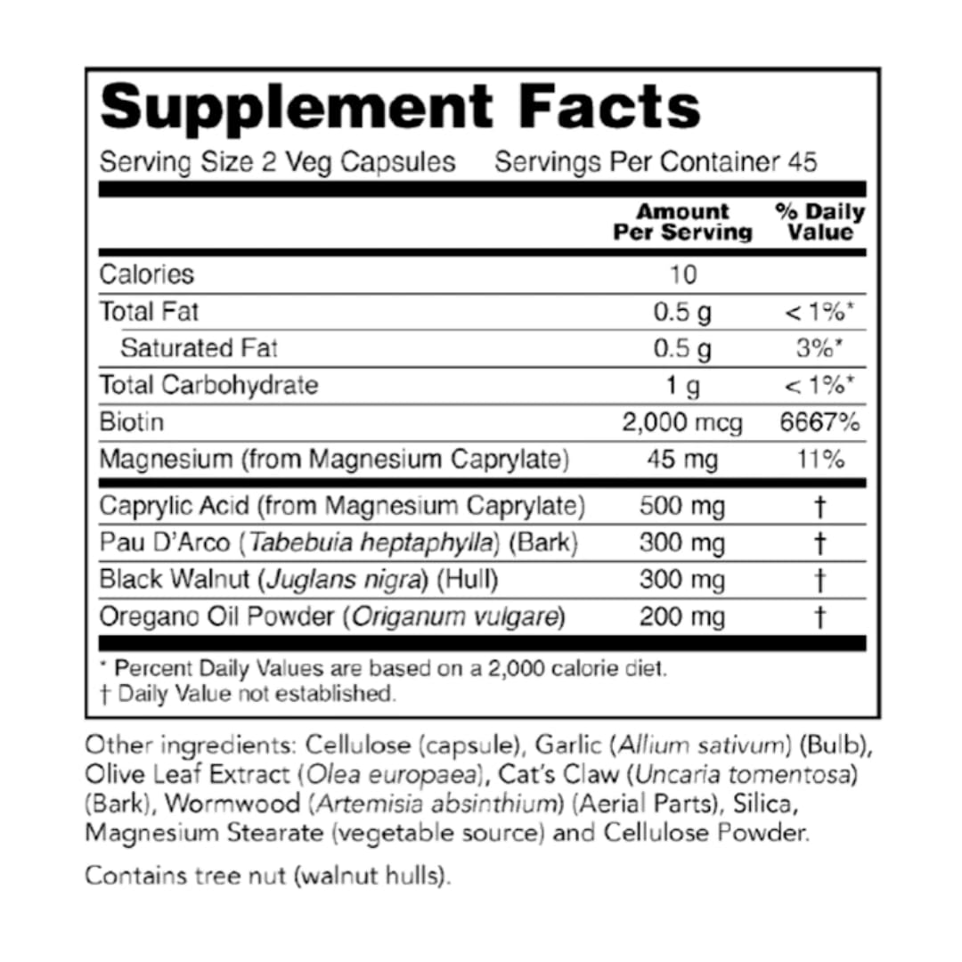 Graphic of healthy gut flora and Candida balance