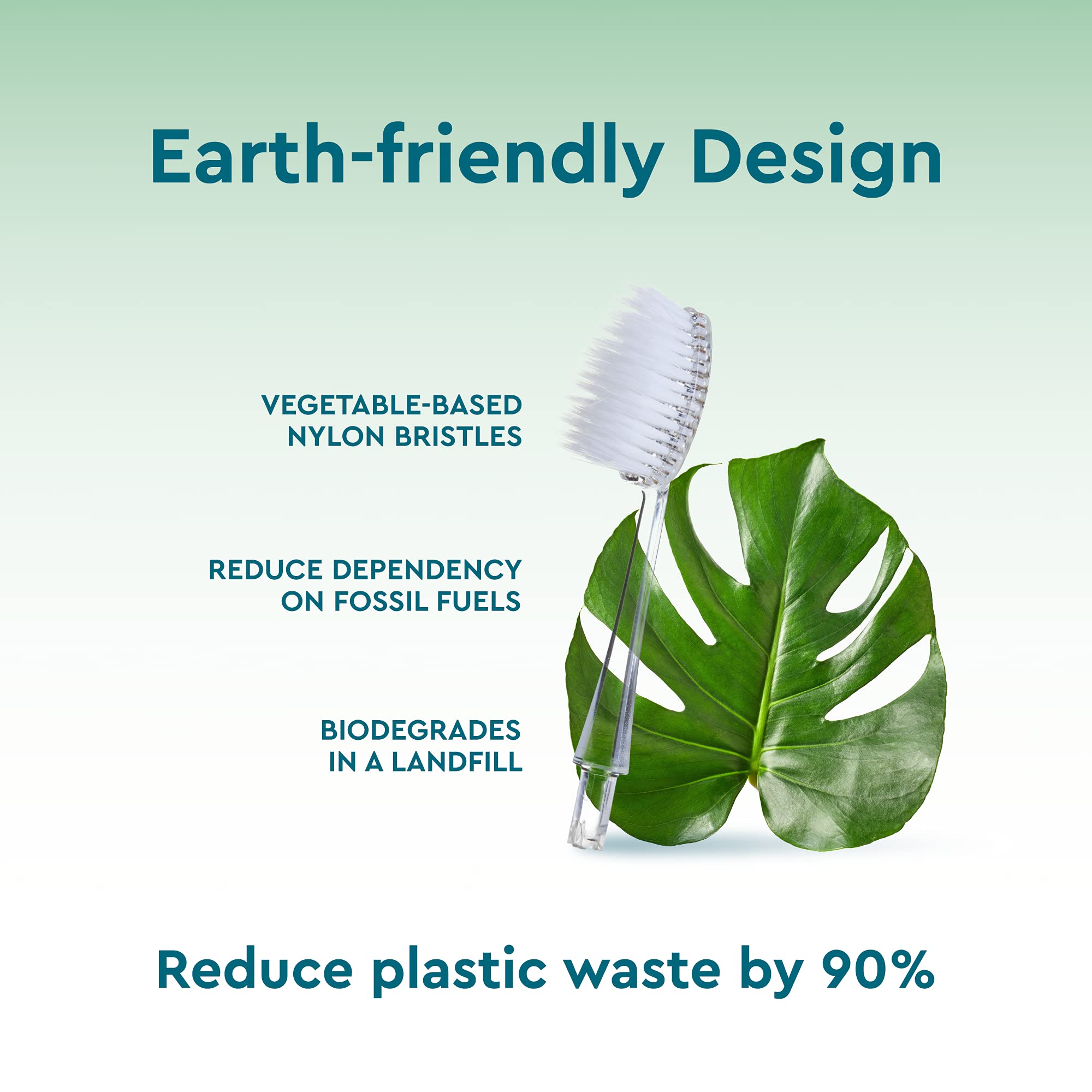 Radius Big Brush plant-based handle