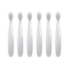 Clear-pack shot showing the 6-pack packaging for Pure Brush