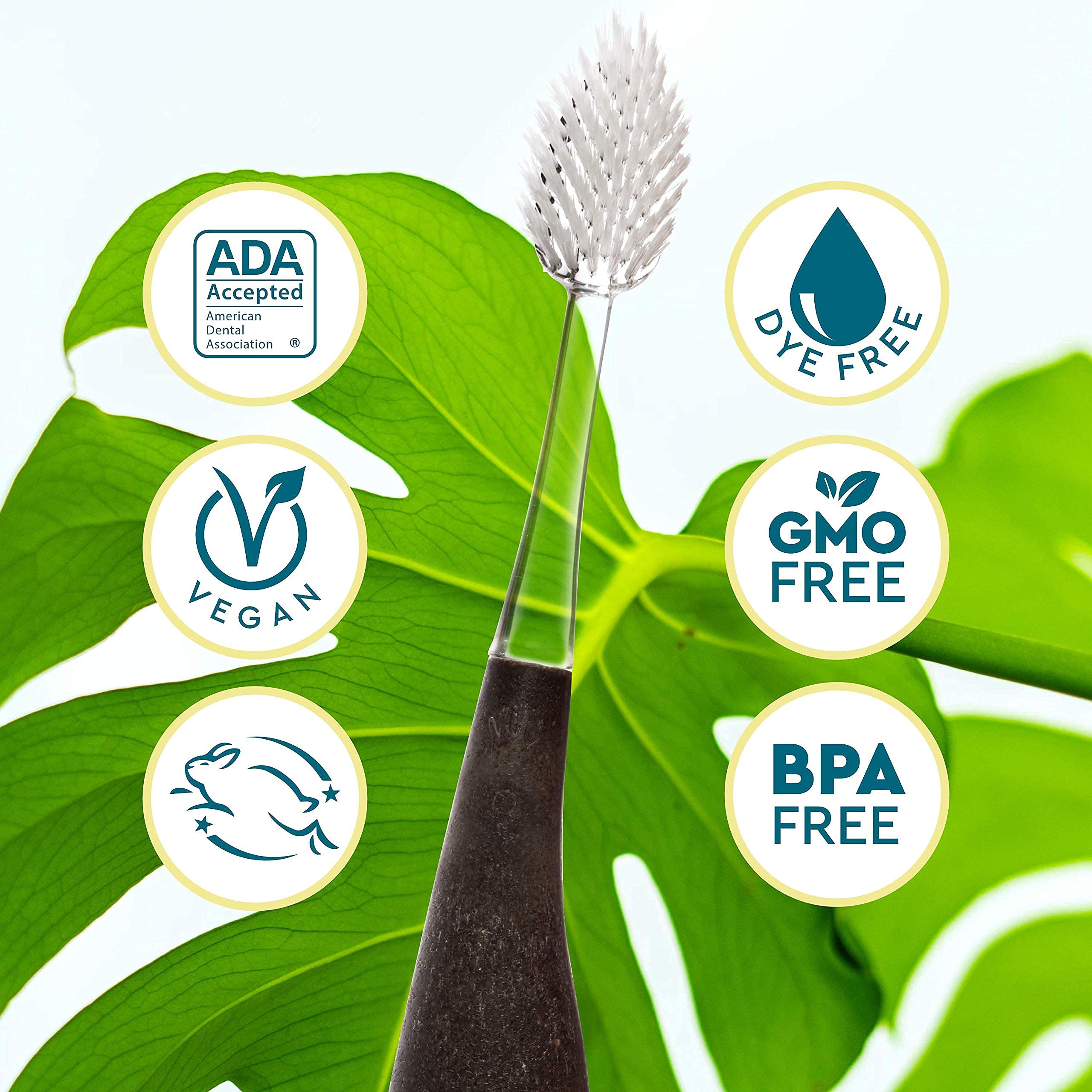 Eco-friendly materials used in Source toothbrush