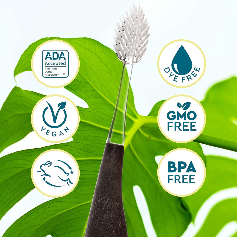 ADA Accepted logo on Source toothbrush