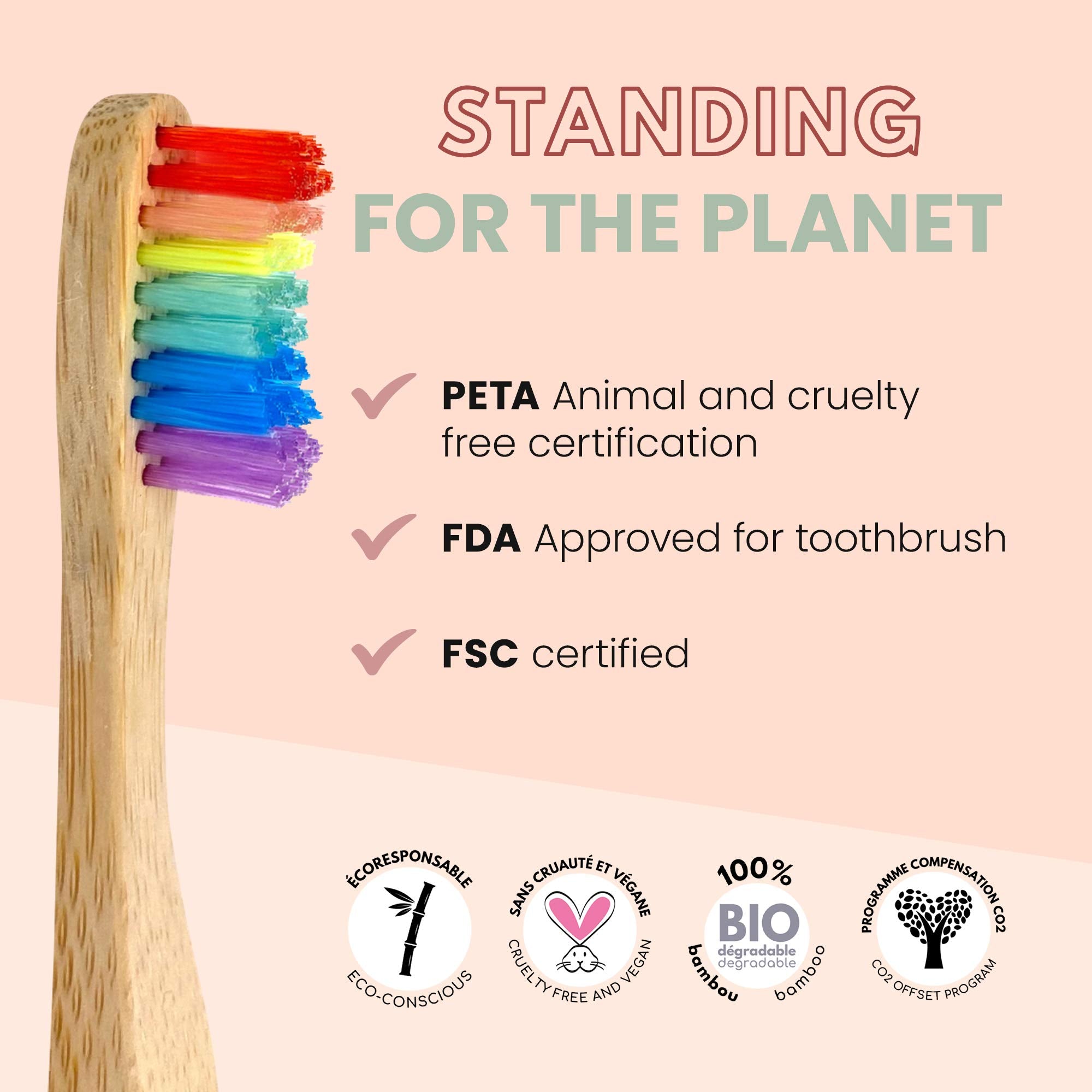 Biodegradable bamboo handle detail