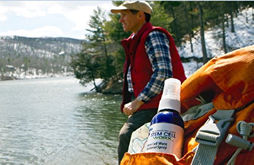 Rapid repair and recovery support