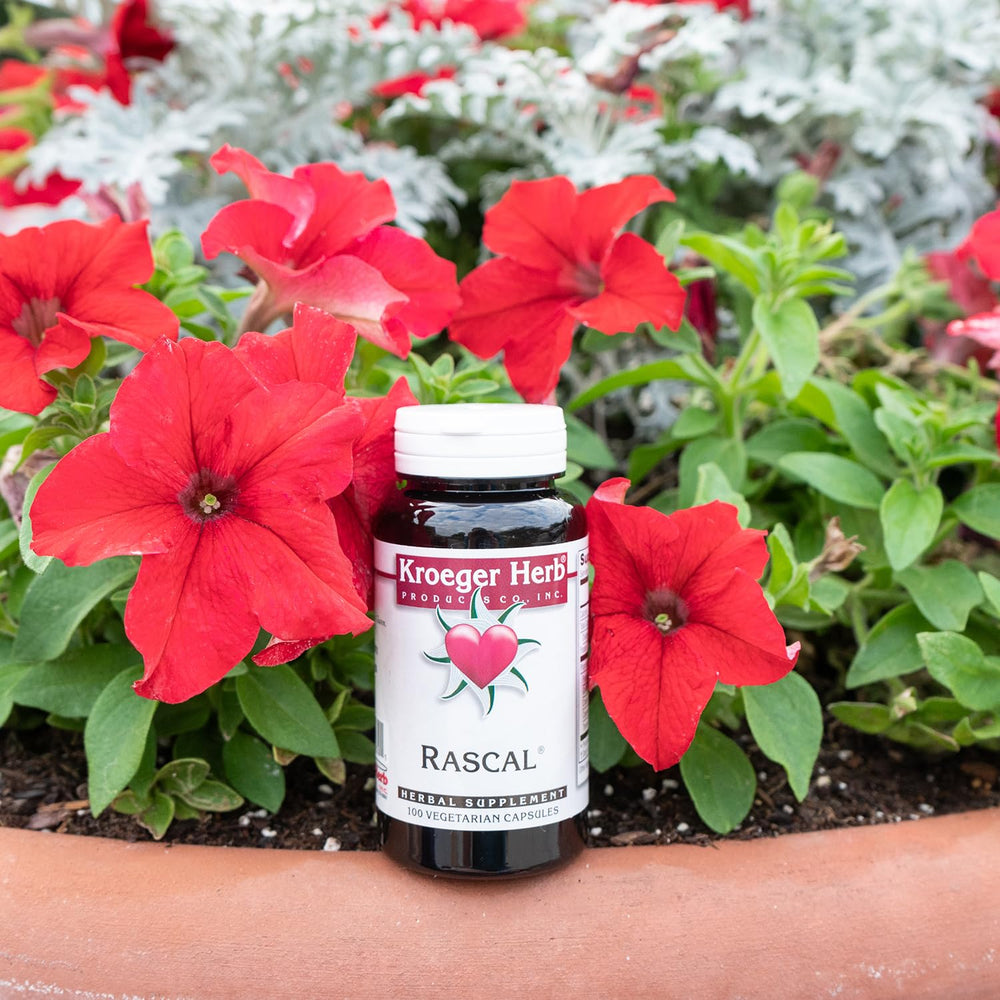 Rascal product ingredients overview